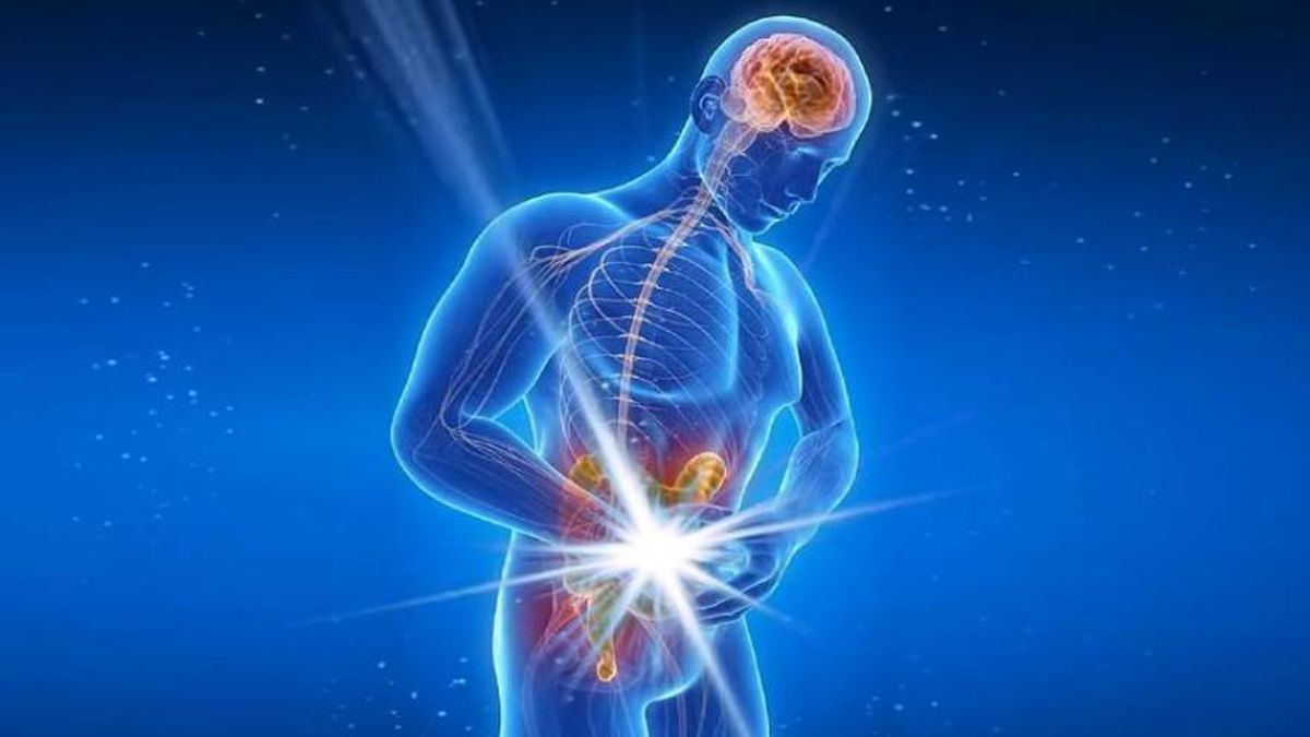 La Biodescodificación busca interpretar de qué emoción está hablando un síntoma físico. La Biodescodificación busca interpretar de qué emoción está hablando un síntoma físico.