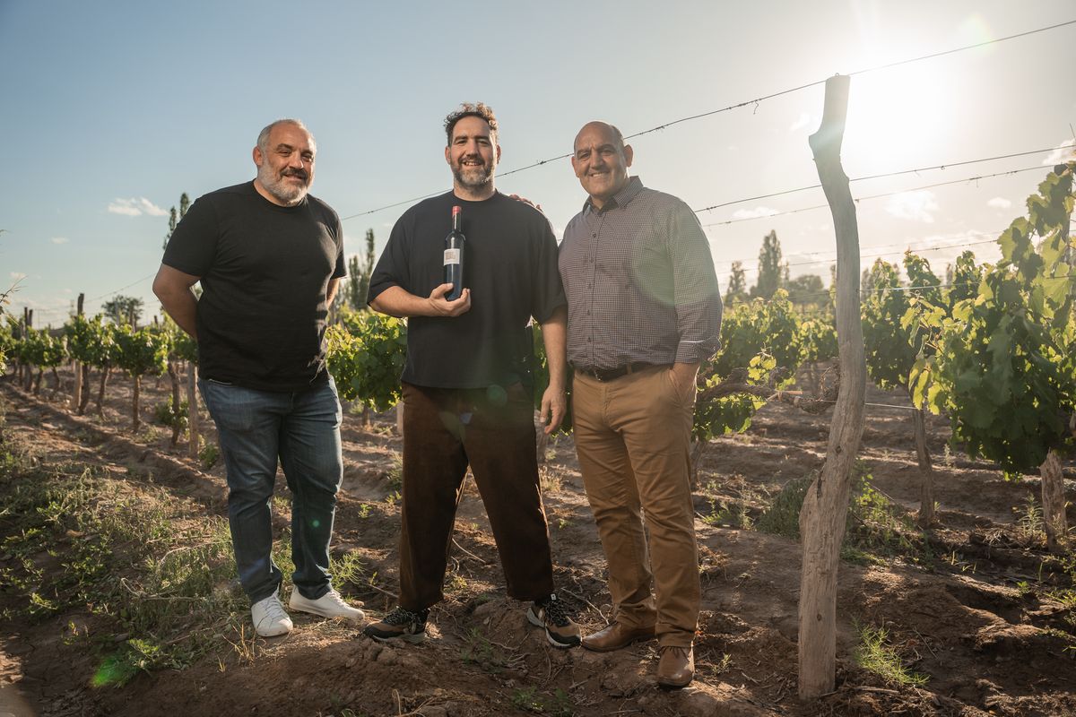 Mario Ledesma, su hermano Pedro y Rodrigo Roncero, con quienes comparte el vino Pequeñas Sociedades Mario Ledesma, su hermano Pedro y Rodrigo Roncero, con quienes comparte el vino Pequeñas Sociedades