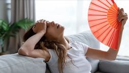 En los días de calor hace falta un aire acondicionado casero (que no sea un abanico).