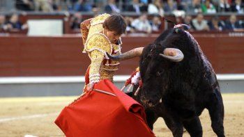 Un torero fue corneado por el toro y le provocó heridas la zona anal