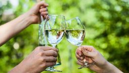 El brindis con agua es un acto que se asocia con la mala suerte 