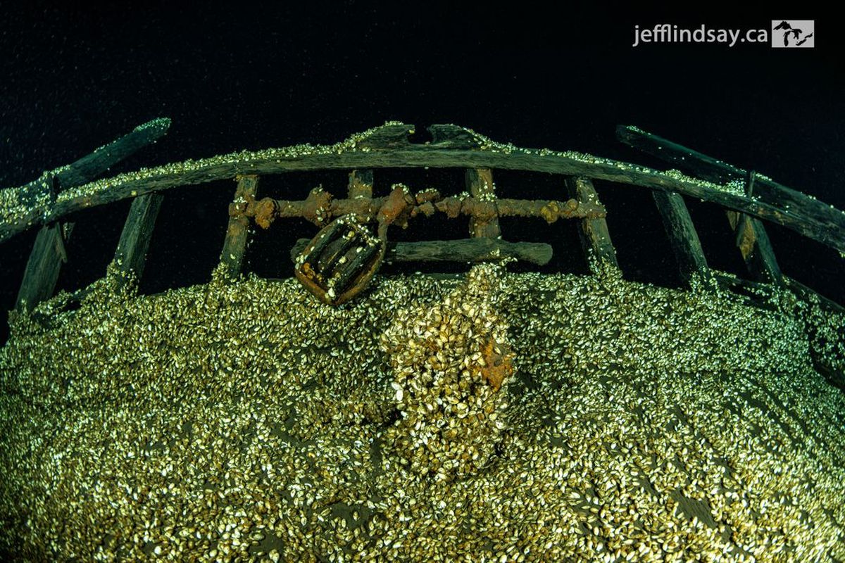 El naufragio se conservó my bien bajo el agua. El naufragio se conservó my bien bajo el agua.