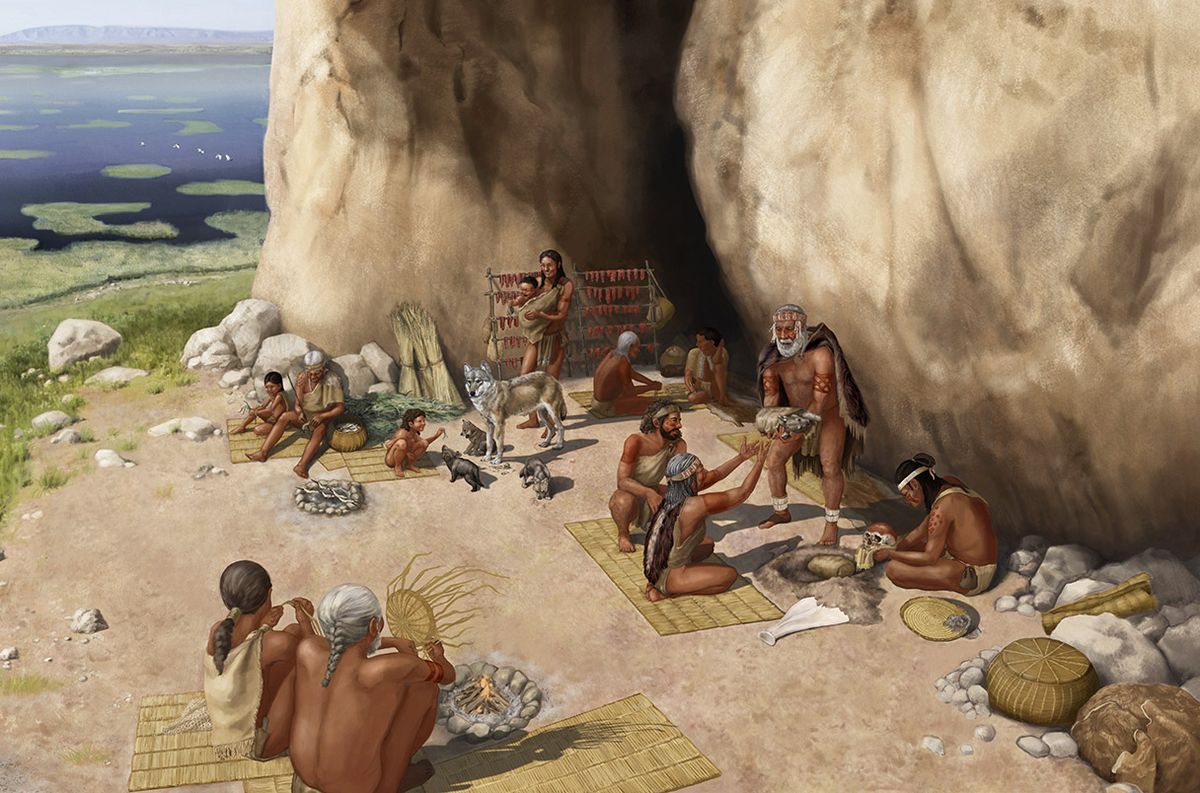 Descubrimiento de relevancia mundial: creen haber encontrado al perro domesticado más antiguo