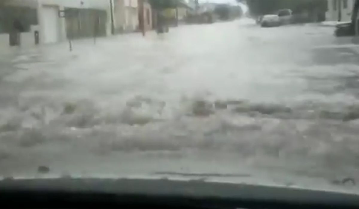 El video viral del Peugeot que se la banca en el agua fue furor en Twitter