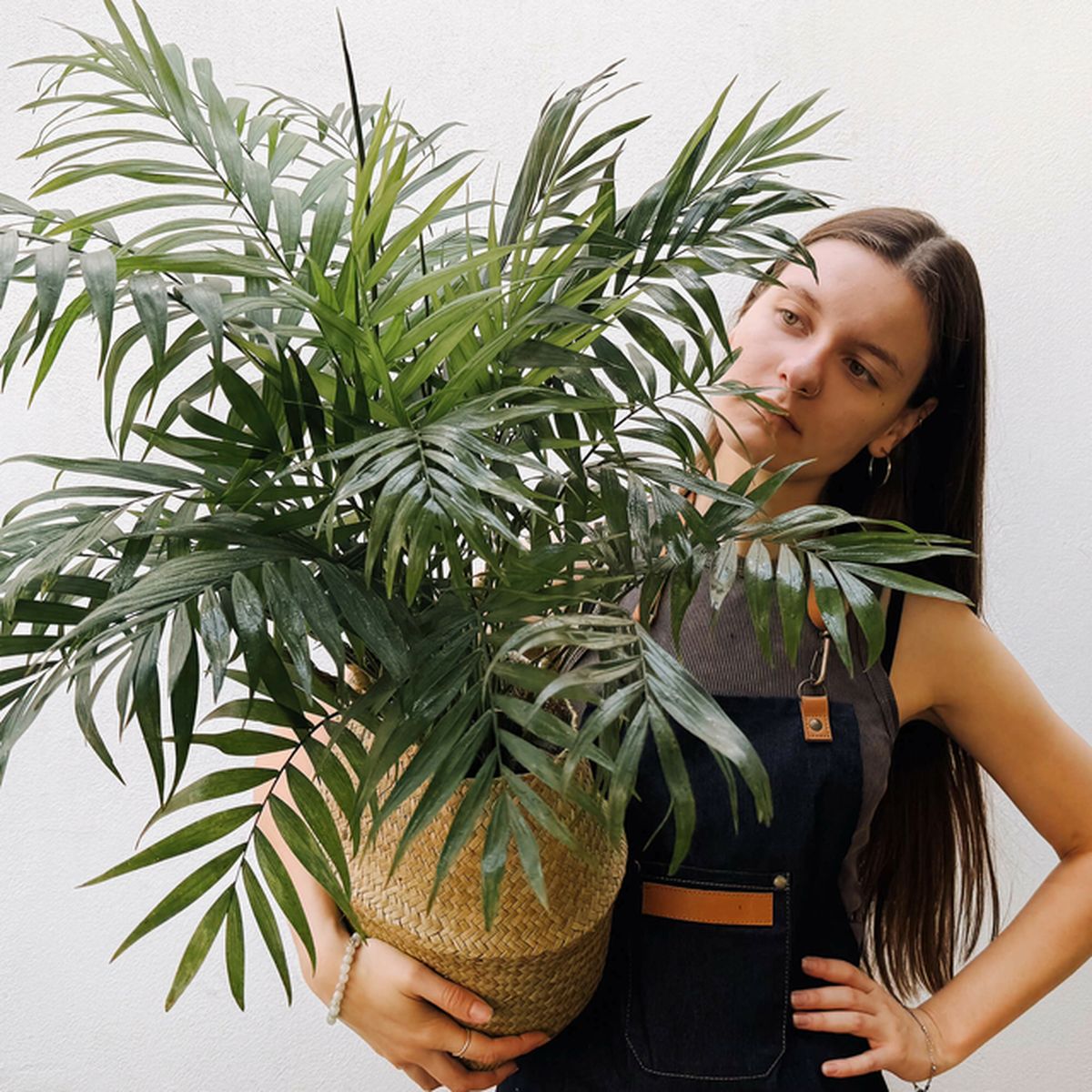 Recomendada por arquitectos: la planta ideal para eliminar la humedad de las paredes Recomendada por arquitectos: la planta ideal para eliminar la humedad de las paredes