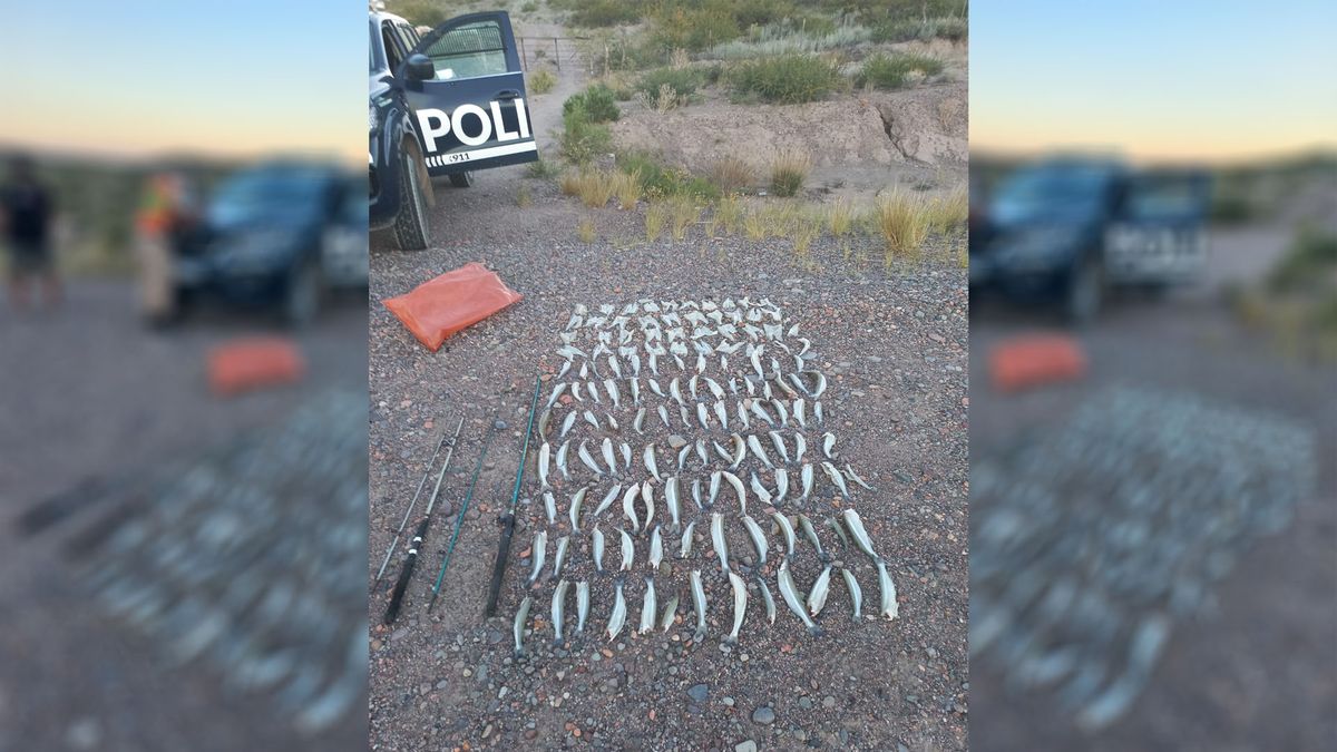 El hombre indicó que regresaba del Dique Agua del Toro, en San Rafael, donde había ido a pesar, pero no tenía permiso para la actividad. El hombre indicó que regresaba del Dique Agua del Toro, en San Rafael, donde había ido a pesar, pero no tenía permiso para la actividad.