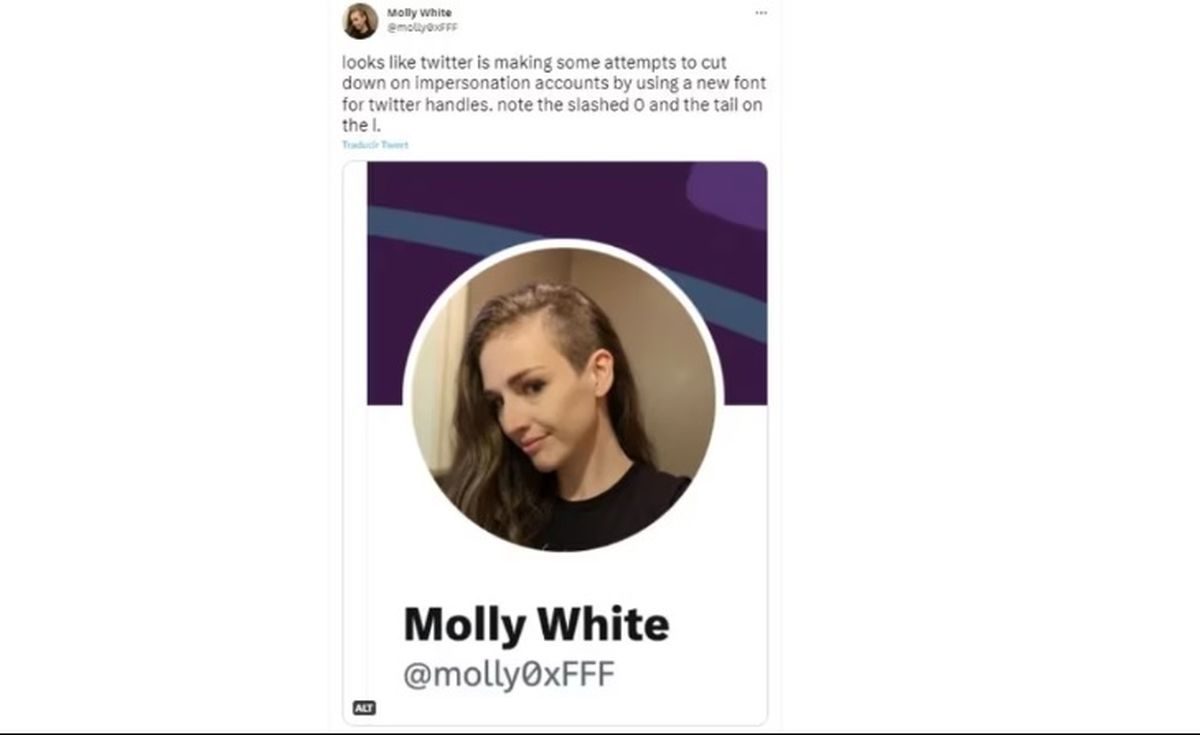 Las cuentas fake es uno de los temas que más preocupan a Elon Musk