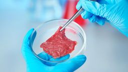 La tecnología para crear carne es nueva, pero va avanzando. La tecnología para crear carne es nueva, pero va avanzando.