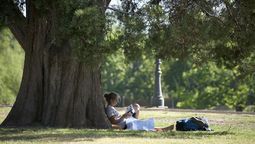 Semana primaveral en Mendoza: las máximas podrían llegar a 27 °C