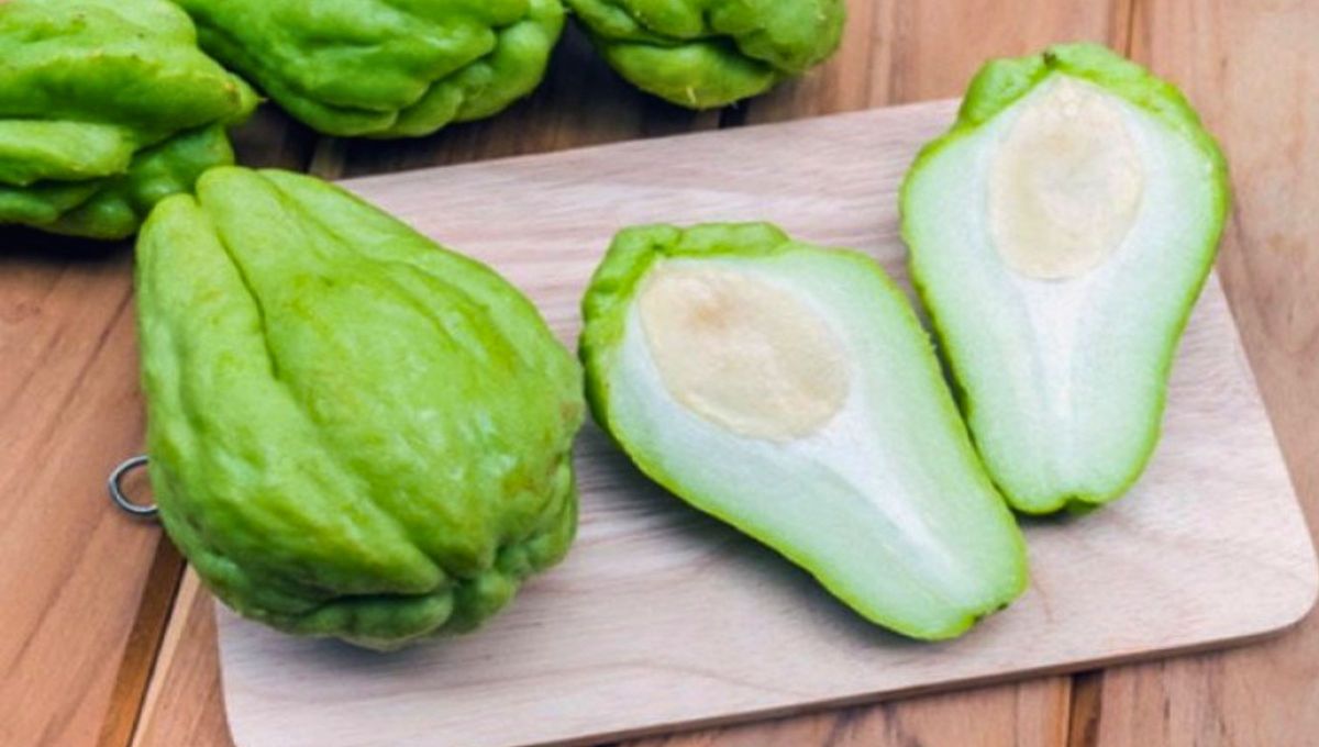 Este fruto es bueno para las personas diabéticas, ya que activa la circulación, y eficaz contra las enfermedades del estómago. Este fruto es bueno para las personas diabéticas, ya que activa la circulación, y eficaz contra las enfermedades del estómago. 