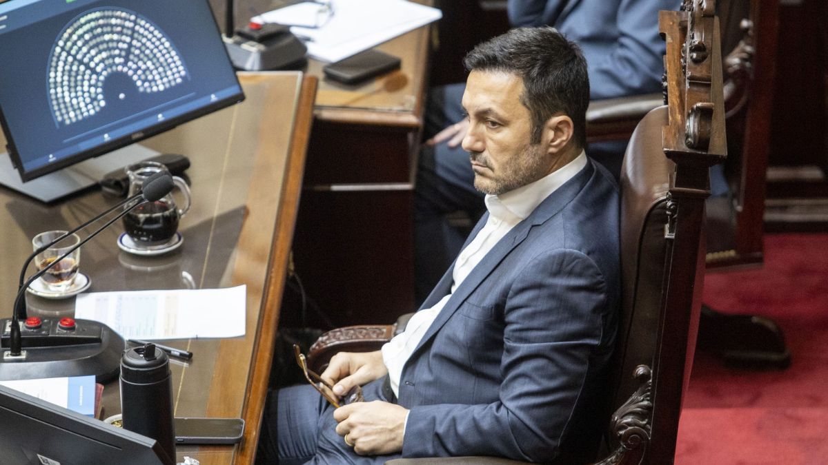 Luis Petri votó a favor de la reforma de la Ley de Glaciares. También lo hicieron otros 6 diputados mendocinos.