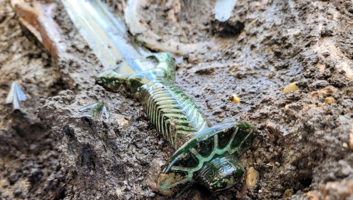 El descubrimiento de una antigua espada samurái que tomó por sorpresa a toda Europa El descubrimiento de una antigua espada samurái que tomó por sorpresa a toda Europa