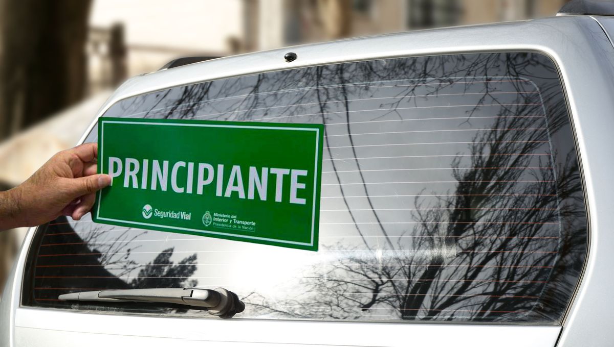 Existen diferentes señales que se colocan en los autos por seguridad vial. Existen diferentes señales que se colocan en los autos por seguridad vial. 