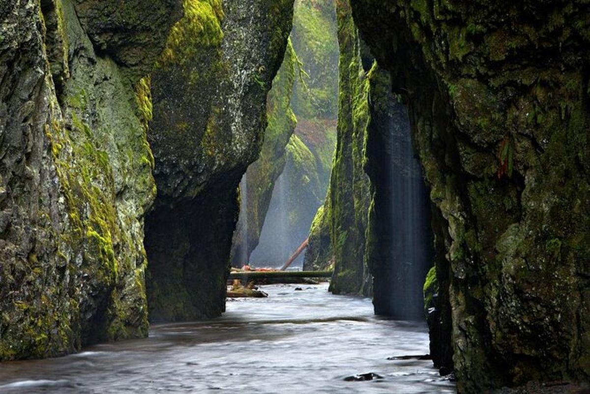 Oneonta Gorge es una visita obligada para los amantes de la naturaleza. Oneonta Gorge es una visita obligada para los amantes de la naturaleza.