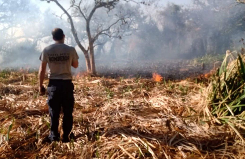 El cuerpo carbonizado fue encontrado a la vera del Río de La Plata en Quilmes cuando bomberos apagaban incendios de basura e investigan si se trata de un abogado desaparecido en julio.
