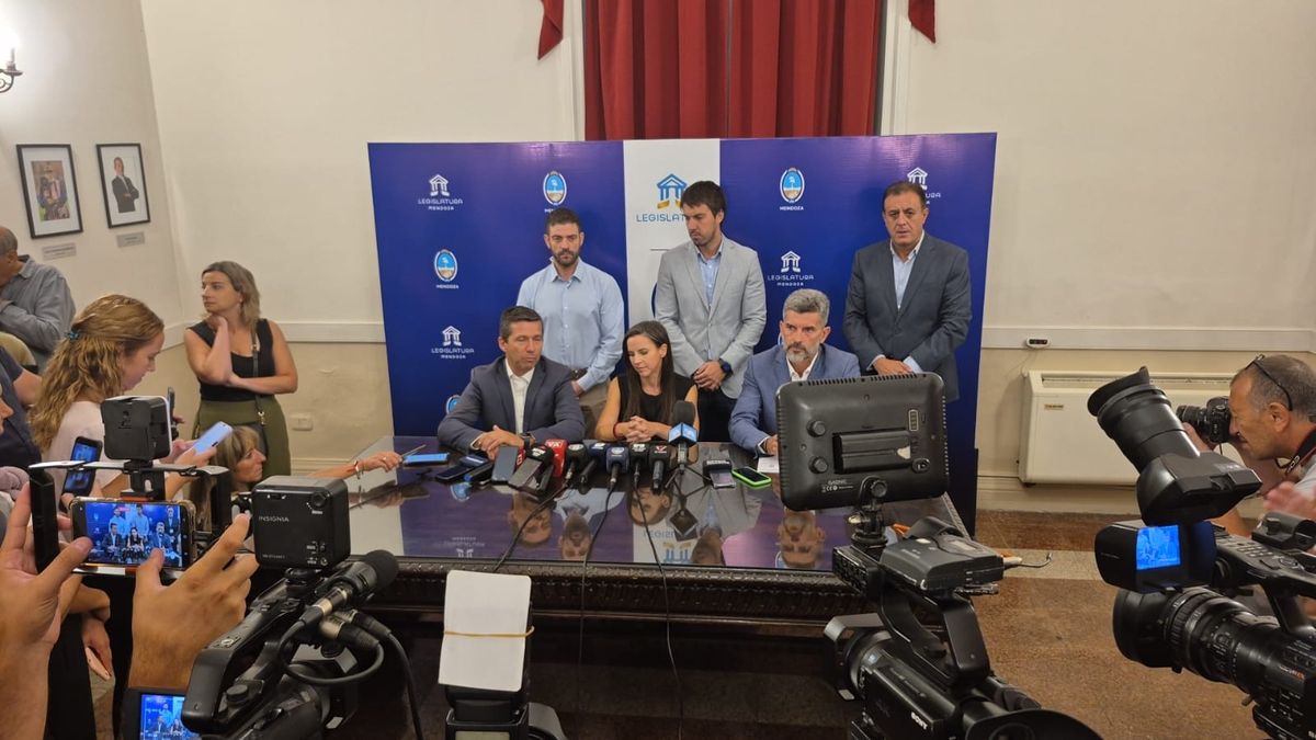 Presentaron un proyecto de ley para que los preventores de Ciudad puedan usar pistolas Taser