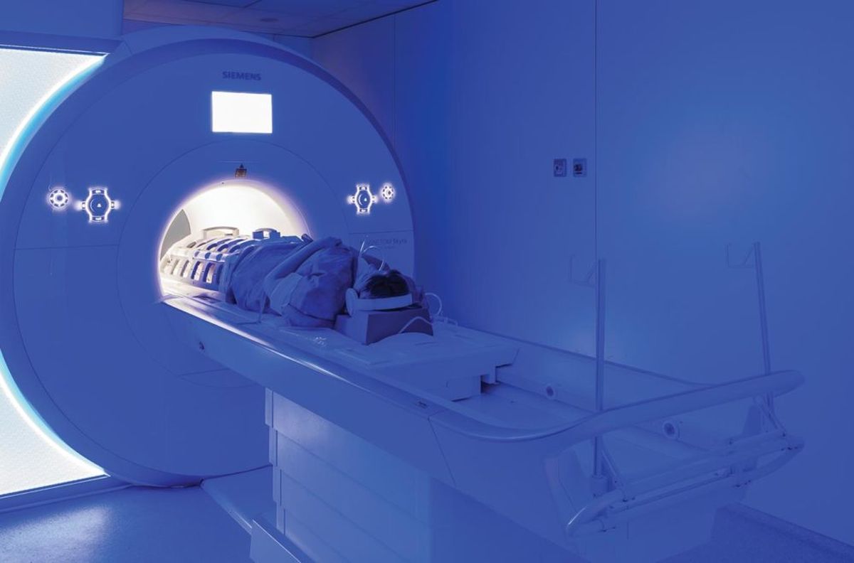 El estudio de la Universidad de California en Los Ángeles se hizo sobre 66 estudiantes universitarios de primer año, a quienes se los sometió a una resonancia magnética. El estudio de la Universidad de California en Los Ángeles se hizo sobre 66 estudiantes universitarios de primer año, a quienes se los sometió a una resonancia magnética.