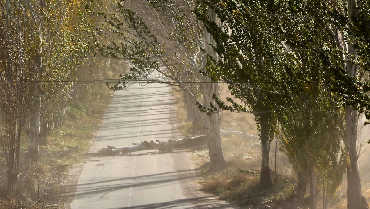 Tomá las medidas necesarias para cuidarte. Tomá las medidas necesarias para cuidarte.