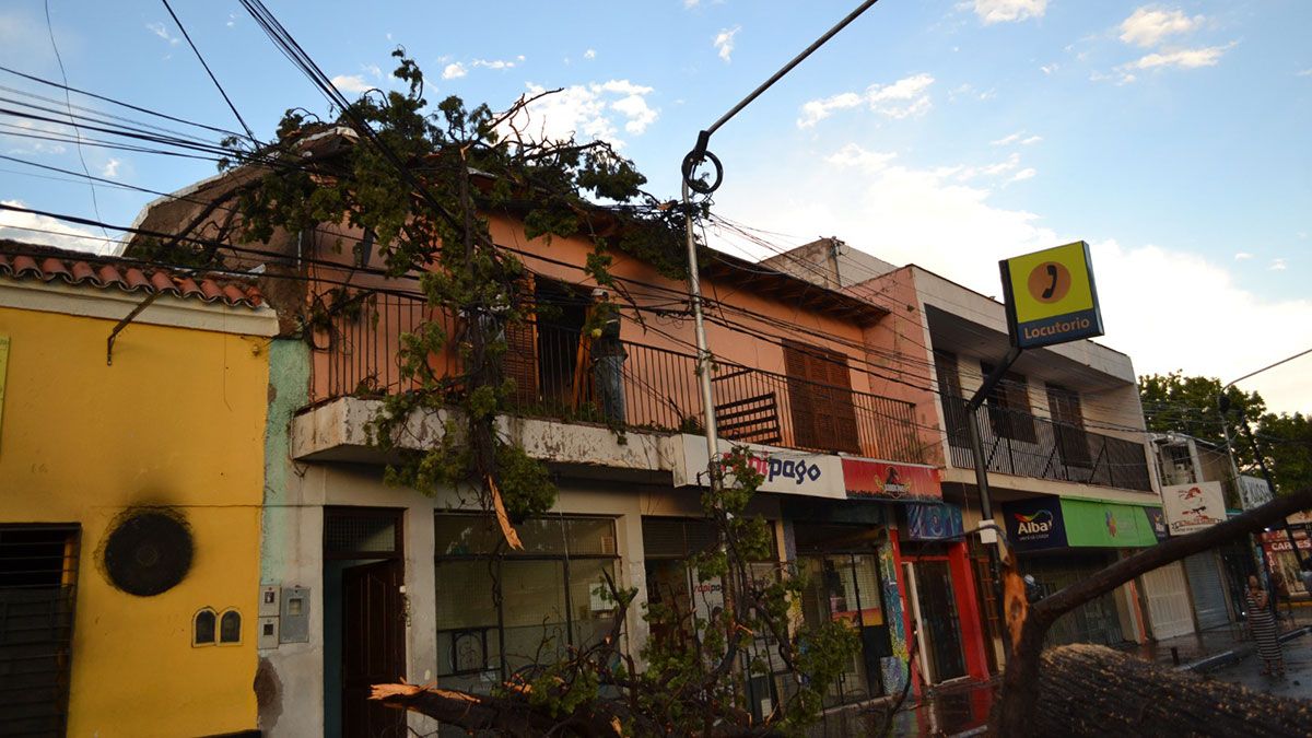 Ramas y árboles caídos, una postal repetido en Maipú y San Martín tras la fuerte tormenta de lluvia, viento y granizo.