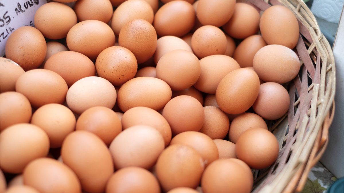 Los huevos son unos de los alimentos saludables más sanos para el desayuno