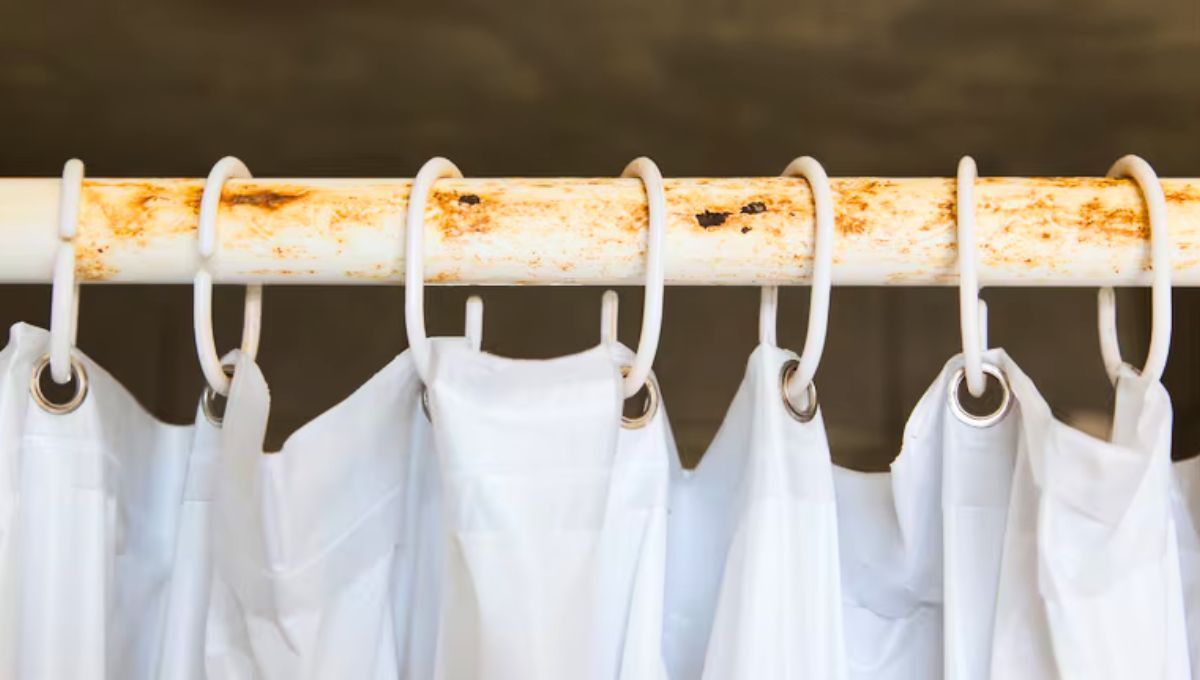Ni cortinas ni mamparas: la tendencia en decoración que se impone en los baños modernos