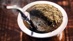 Alimento saludable. Beneficios de tomar mate con menta.