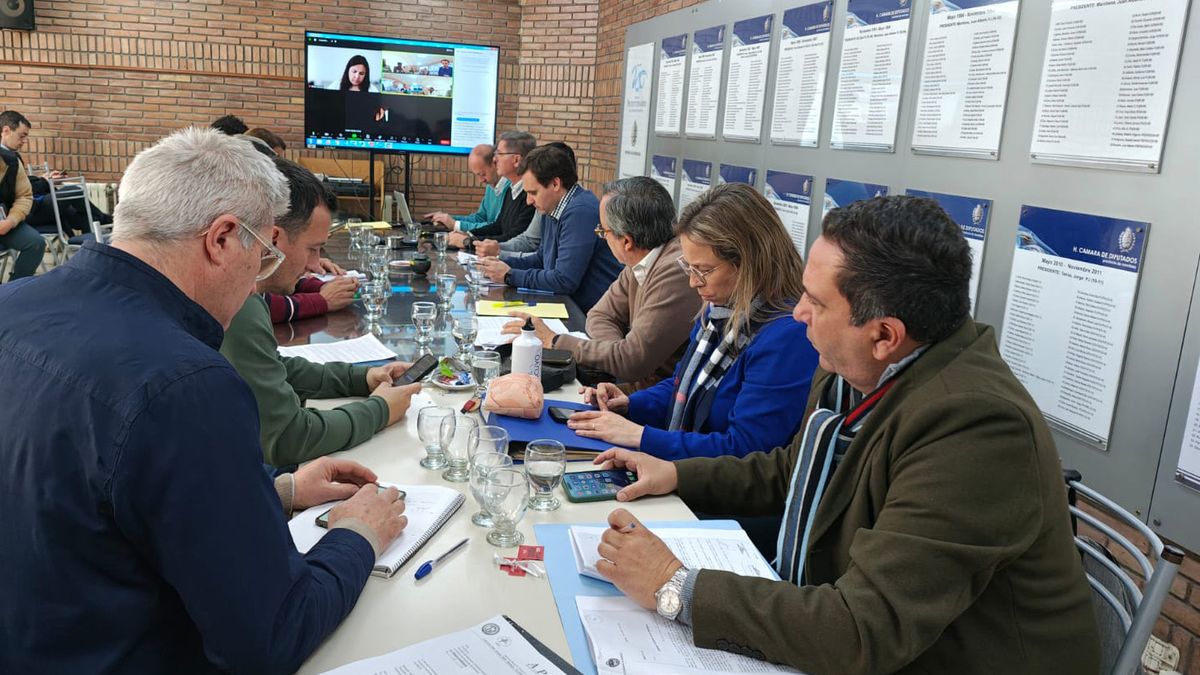 Ricardo Canet y Javier Urrutigoity, asesores de Gobierno, explicaron en la Legislatura los alcances de la propuesta de reforma del Estatuto del Empleado Público. Ricardo Canet y Javier Urrutigoity, asesores de Gobierno, explicaron en la Legislatura los alcances de la propuesta de reforma del Estatuto del Empleado Público.