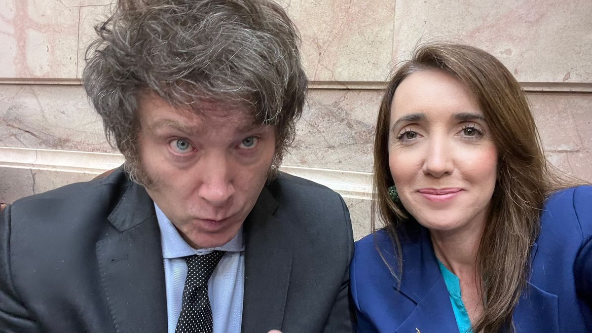 Milei y Villarruel van por La Libertad Avanza. Milei y Villarruel van por La Libertad Avanza.