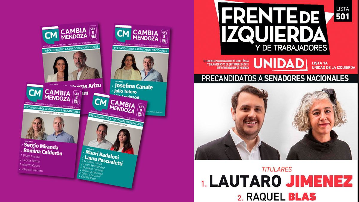 Quiénes son los 10 mendocinos que blanquearon sus aportes a la campaña en Mendoza