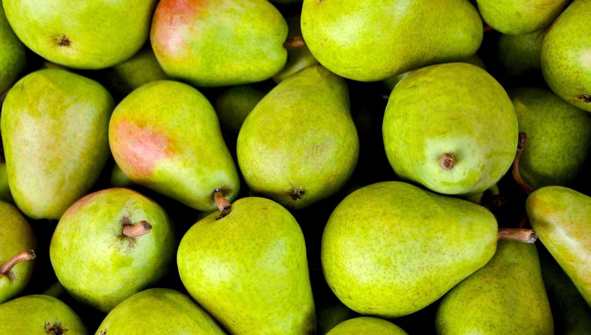 La pera atrae por su aroma dulce y empalagoso. La pera atrae por su aroma dulce y empalagoso. 