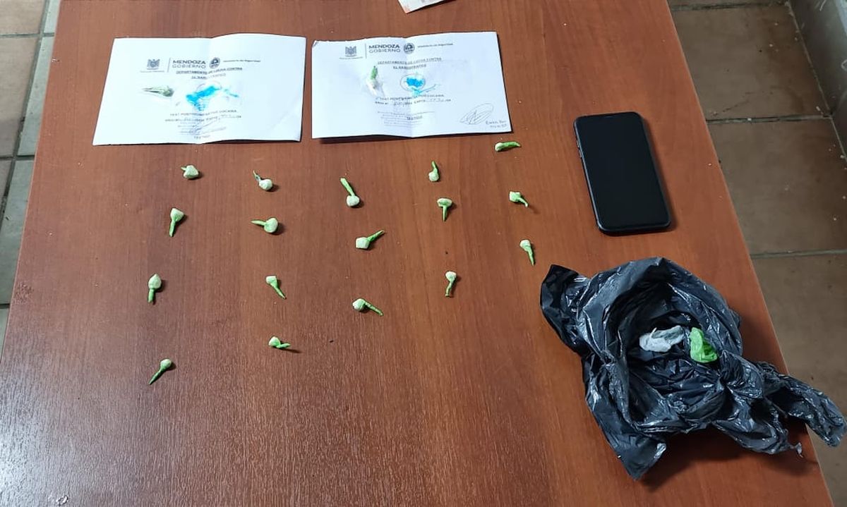 Parte de lo secuestrado en los procedimientos. Parte de lo secuestrado en los procedimientos.