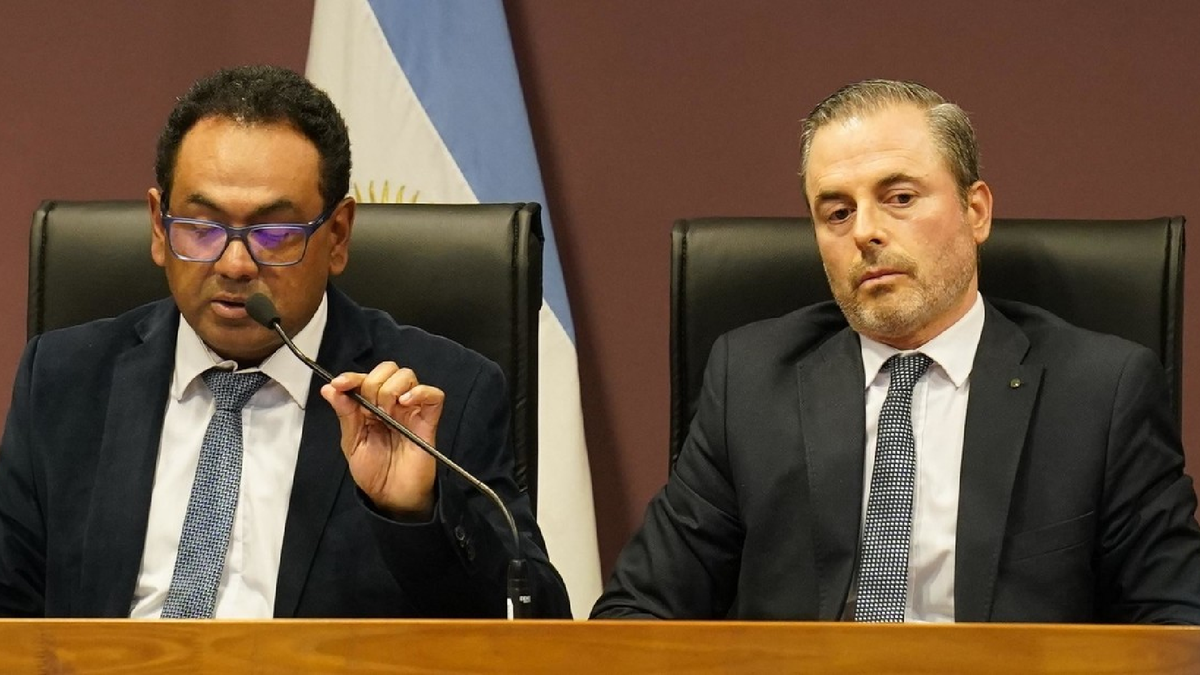 Los fiscales del caso Loan dieron una conferencia de prensa: Estamos ante un posible delito de trata de personas. (Foto: captura).