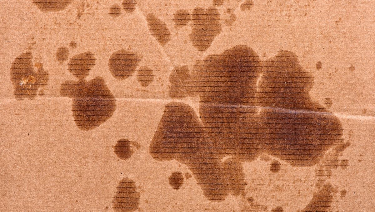 La maicena suele usarse para manchas de grasa en la ropa, los muebles y las alfombras de tela. La maicena suele usarse para manchas de grasa en la ropa, los muebles y las alfombras de tela. 