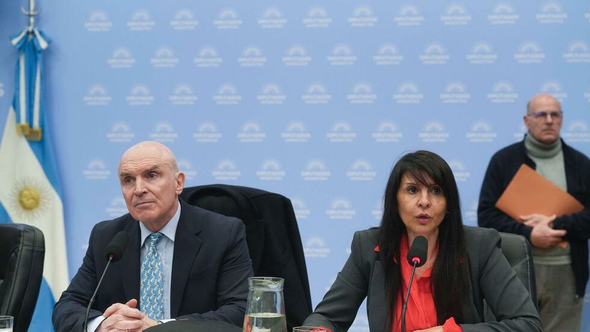 José Luis Espert, presidente de la Comisión de Hacienda de la Cámara de Diputados, junto a Lorena Valverde, presidenta de la Comisión de Energía. José Luis Espert, presidente de la Comisión de Hacienda de la Cámara de Diputados, junto a Lorena Valverde, presidenta de la Comisión de Energía.