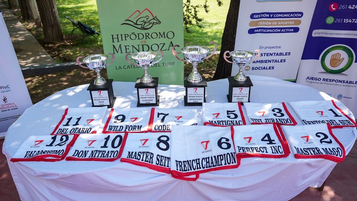 Los trofeos para los ganadores y los mandiles que lucirán los caballos en el Clásico Vendimia Copa Canal Siete.