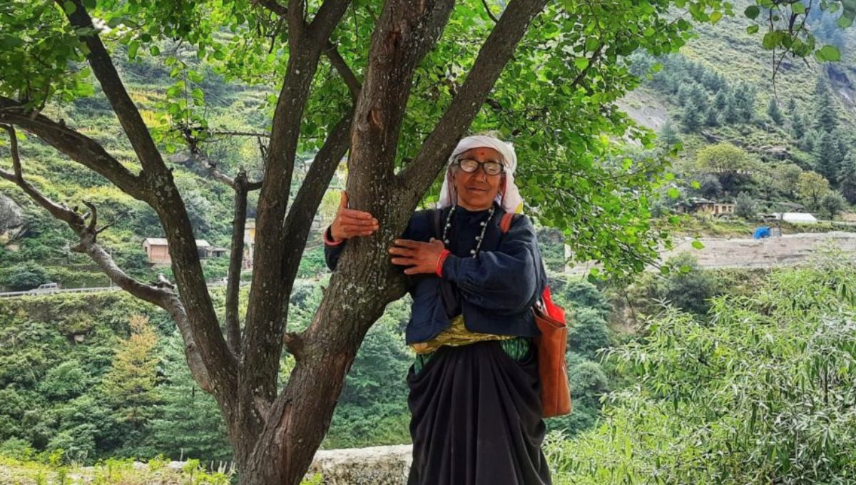 Se abrazaron a cientos de árboles por varios días y detuvieron la tala de uno de los bosque más importantes