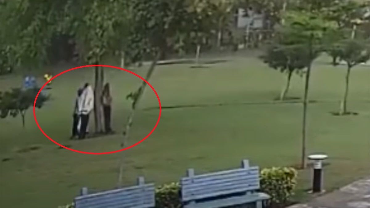 Se refugiaron de la lluvia bajo un árbol y ocurrió lo impensado.