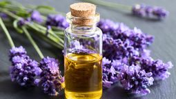 Un truco con vinagre y lavanda muy útil y sencillo.  Un truco con vinagre y lavanda muy útil y sencillo.