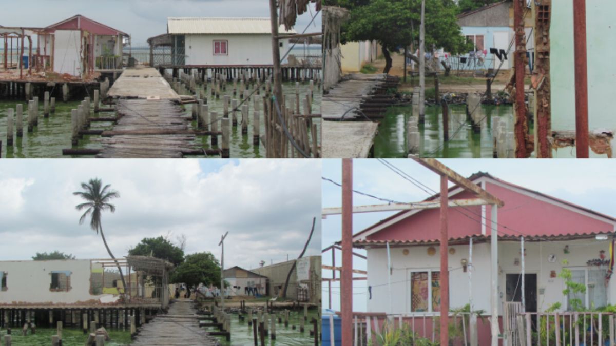 Parte del urbanismo Villa Paula no cuenta con postes, transformador ni medidor. Los cables están a punto de caer al lago y los vecinos intentan atender los problemas arriesgando sus vidas a falta de atención institucional. (Fotos: Francisco Rincón) Parte del urbanismo Villa Paula no cuenta con postes, transformador ni medidor. Los cables están a punto de caer al lago y los vecinos intentan atender los problemas arriesgando sus vidas a falta de atención institucional. (Fotos: Francisco Rincón)