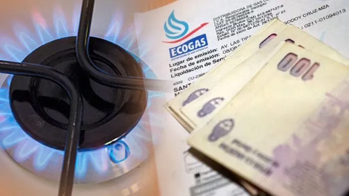 Se podrán pagar algunas deudas del gas en 30 cuotas.