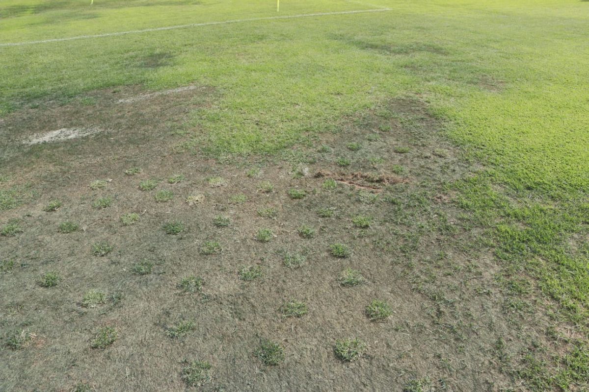 Otra de la imágenes de la cancha donde este domingo jugará el Tomba con Colón