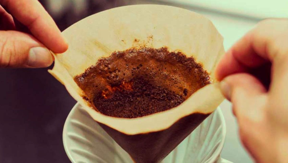 Los restos de café son muy buenos para la limpieza y la jardinería. Los restos de café son muy buenos para la limpieza y la jardinería.