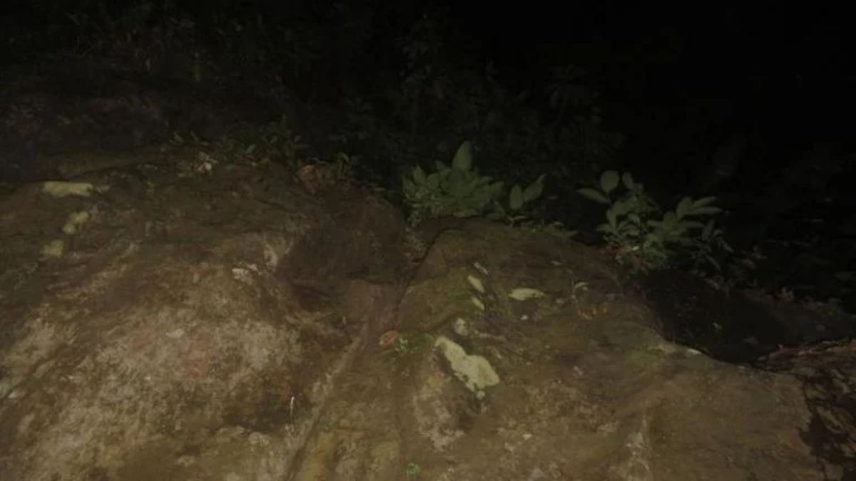 Las fotos de las jóvenes desaparecidas, apuntando hacia la nada. Las fotos de las jóvenes desaparecidas, apuntando hacia la nada.