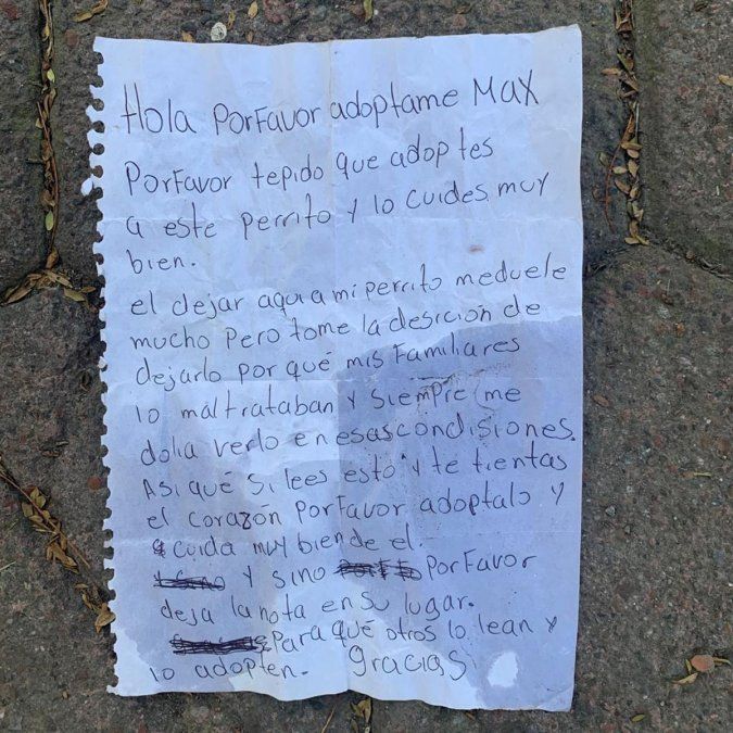 Boston, el perro que abandonaron junto a una nota reveladora