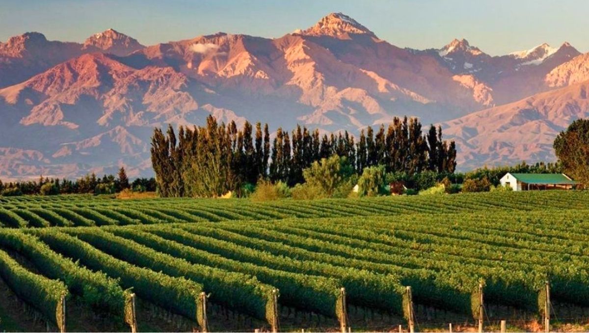 La mira en el Impuesto Inmobiliario que pagan propiedades rurales.