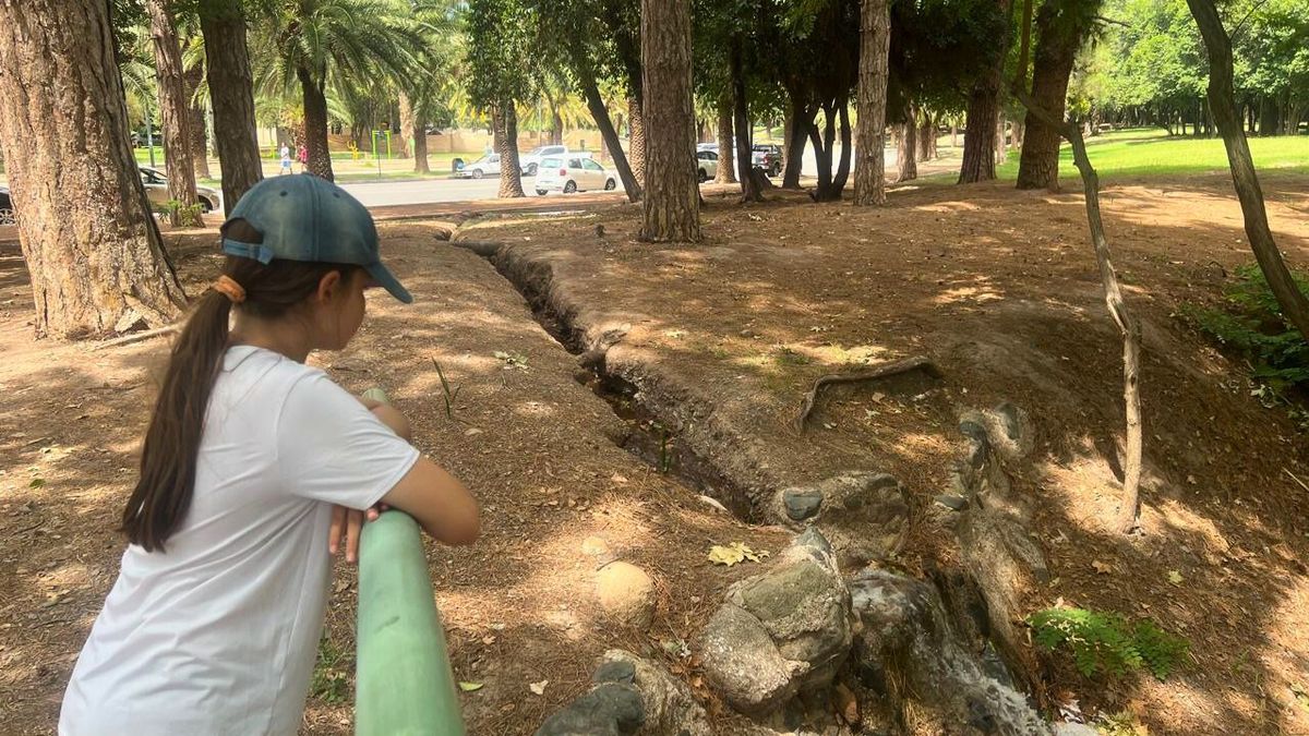 En el parque las acequias son protagonistas y muchos turistas se detienen a observar cómo corre el agua. En el parque las acequias son protagonistas y muchos turistas se detienen a observar cómo corre el agua.