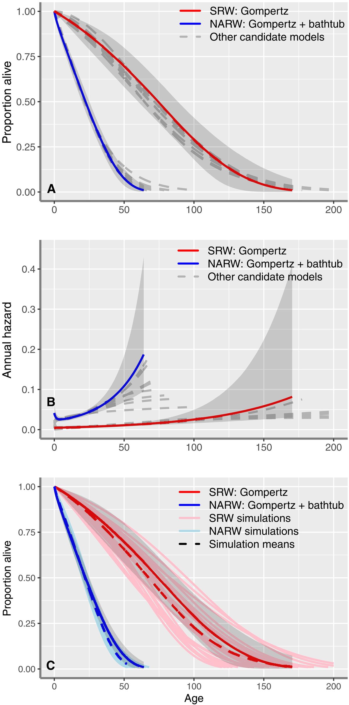 El descubrimiento reveló que las ballenas son muy longevas. El descubrimiento reveló que las ballenas son muy longevas.