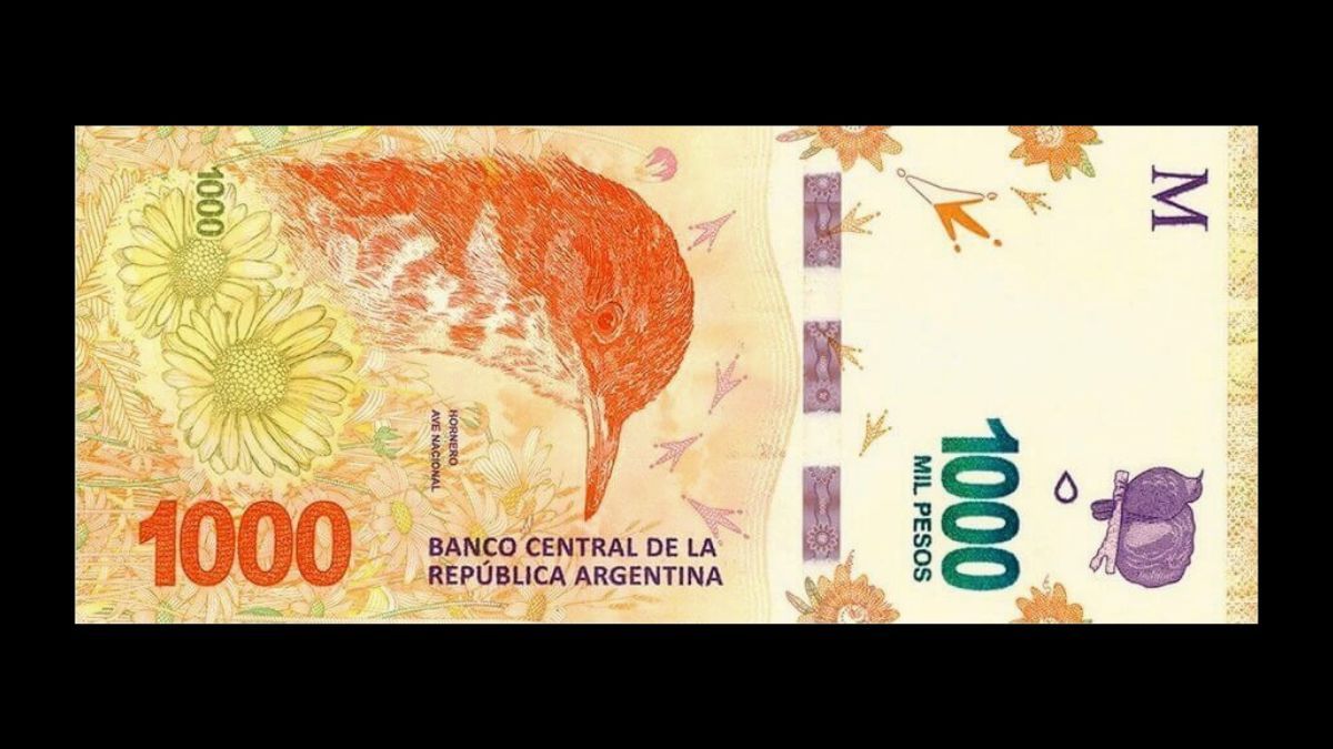Monedas y billetes
