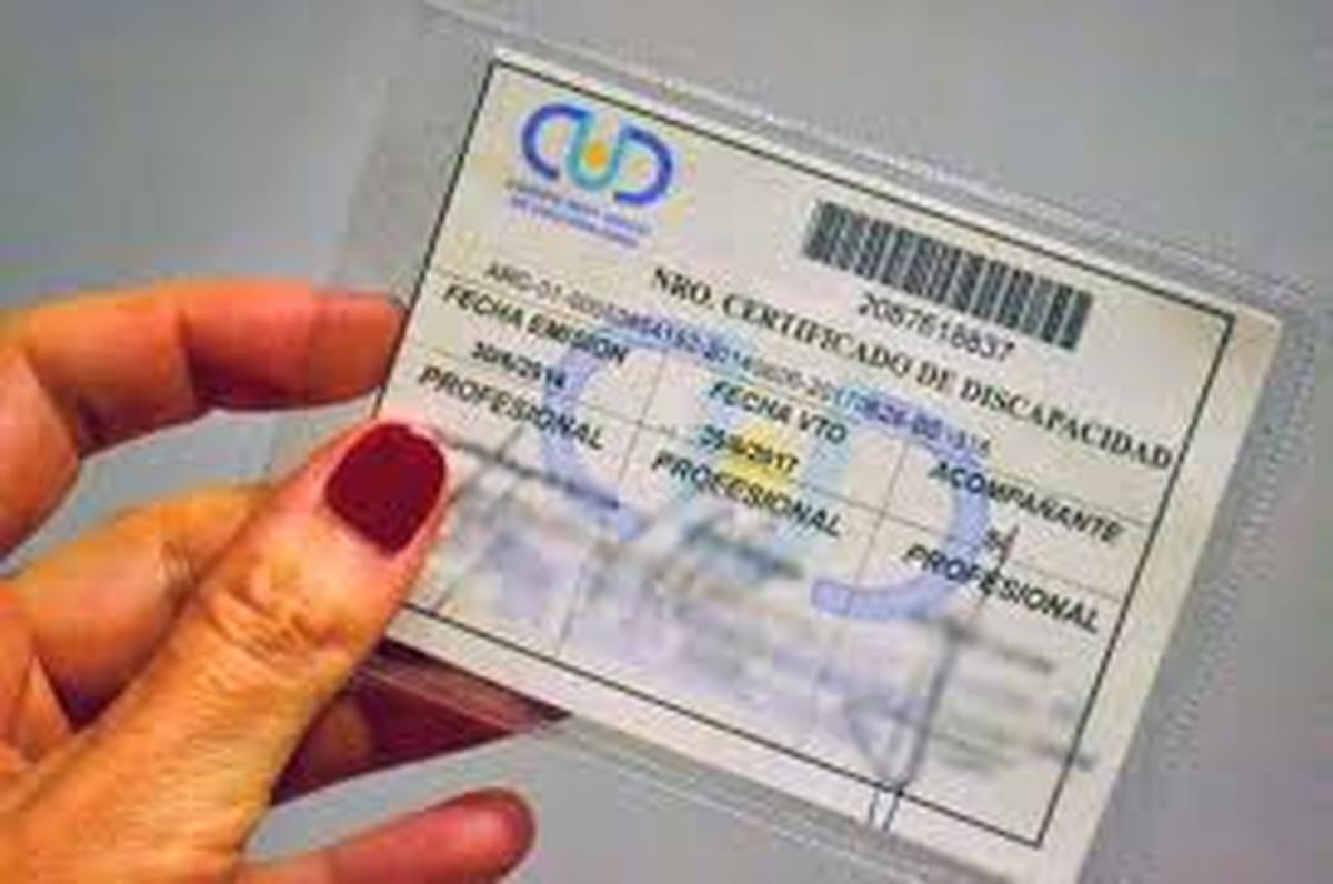 Certificado Único de Discapacidad. Certificado Único de Discapacidad.