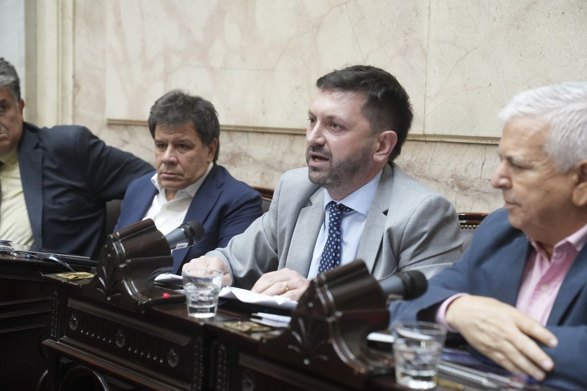 Pablo Juliano junto a Facundo Manes. Pablo Juliano junto a Facundo Manes.